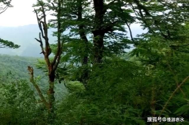 香奈儿口红怎么样好用吗游戏画面