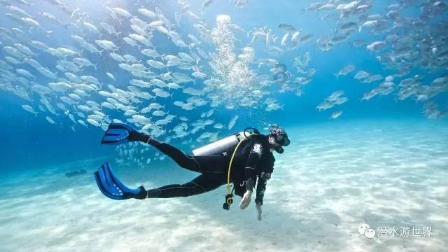 业绩预增催涨股价,科大讯飞2023年预盈至少6.45亿元